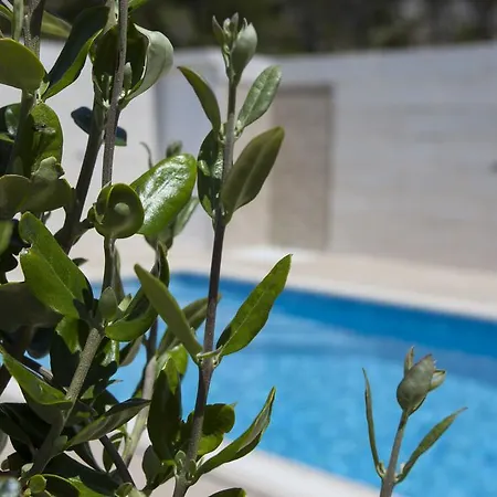Marco * Makarska